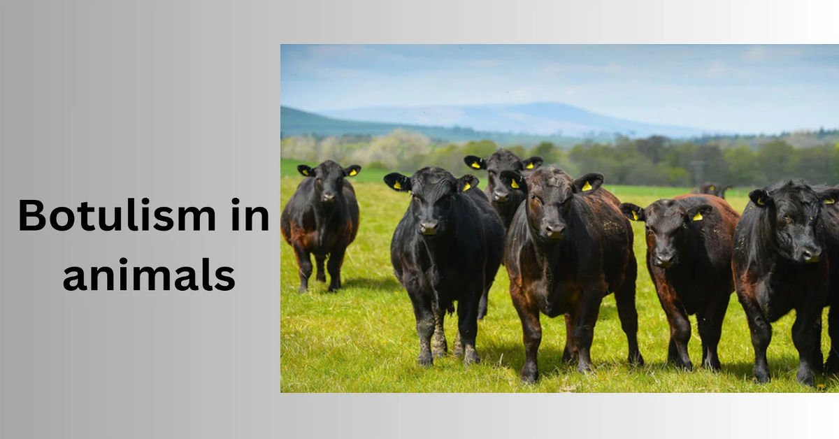 botulism in animals