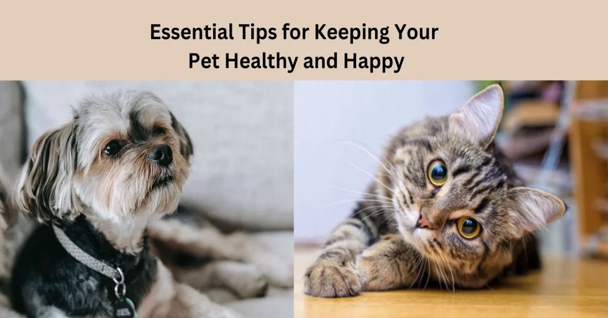 10-essential-tips to keep your pet happy