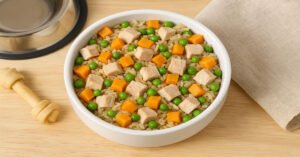 dog-homemade-food