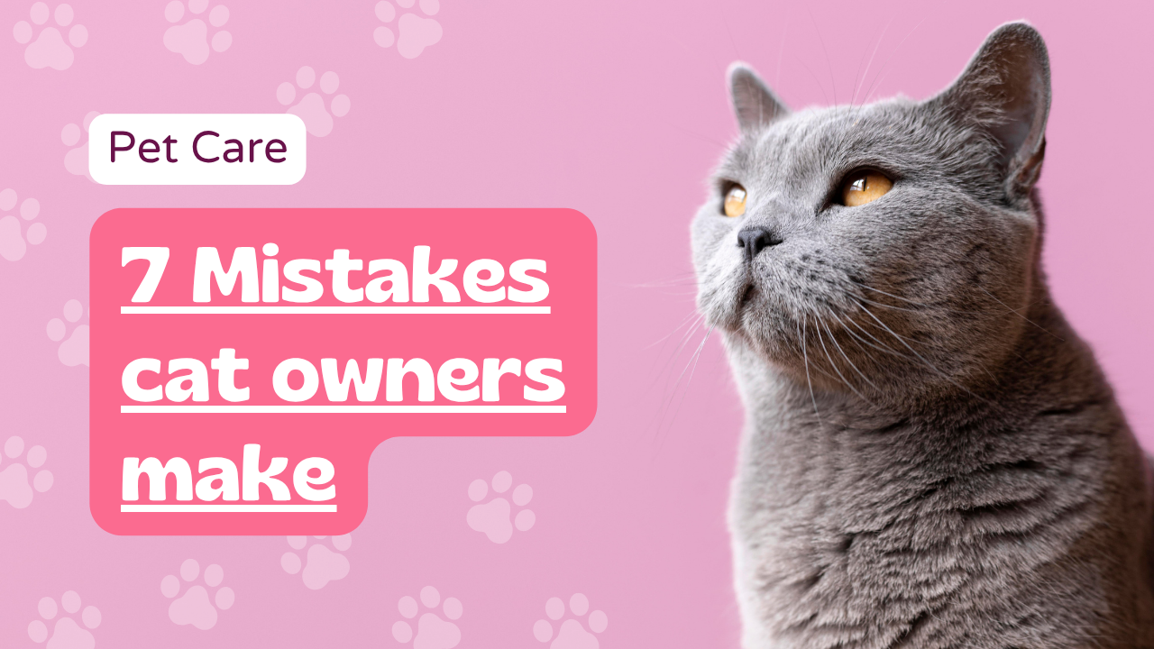 7 mistakes pet owner make